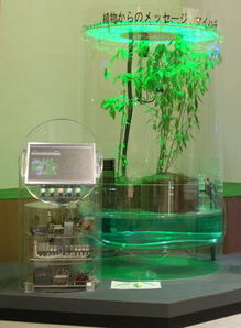 植物工廠的智慧之眼 探秘愛知博覽會與麗水農科所的智能監控系統